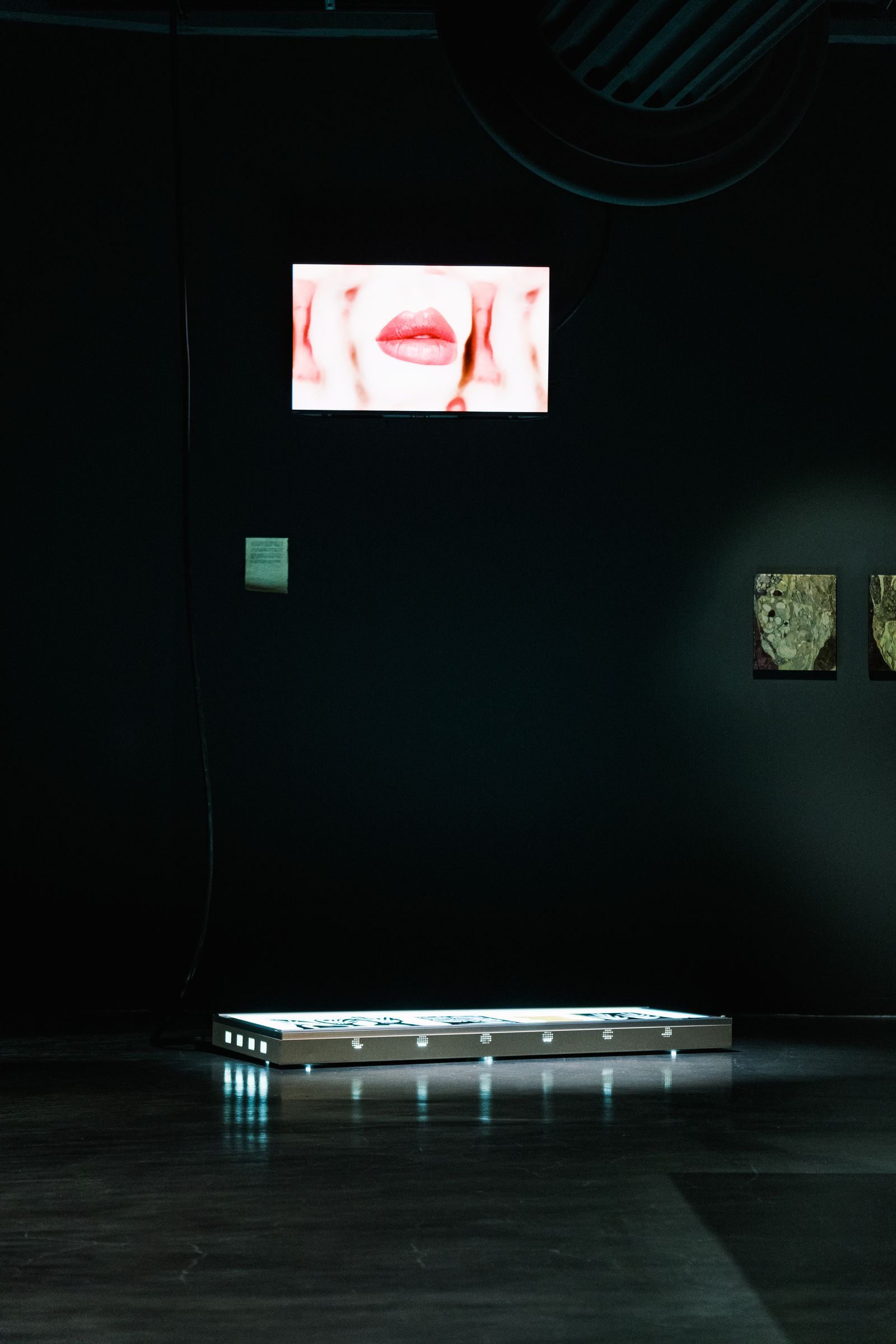 The Lost Language of Mimir