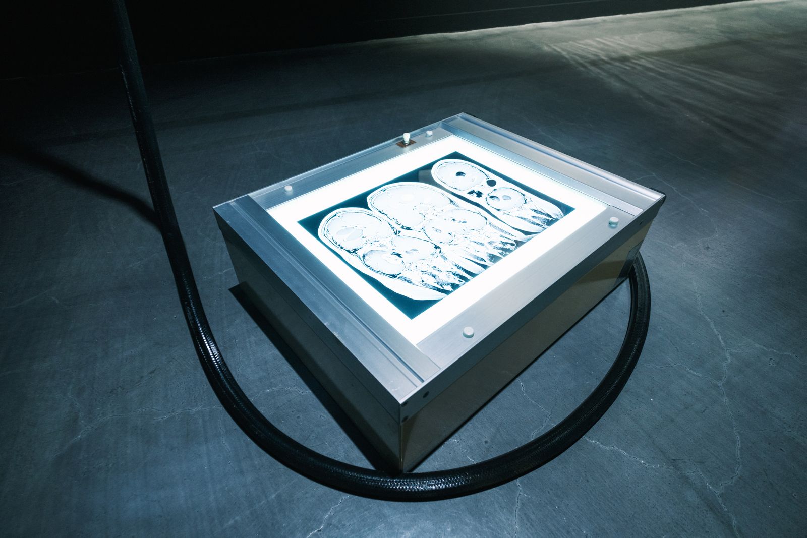 The Riddle of the Sphinx, Unriddling the Puzzles