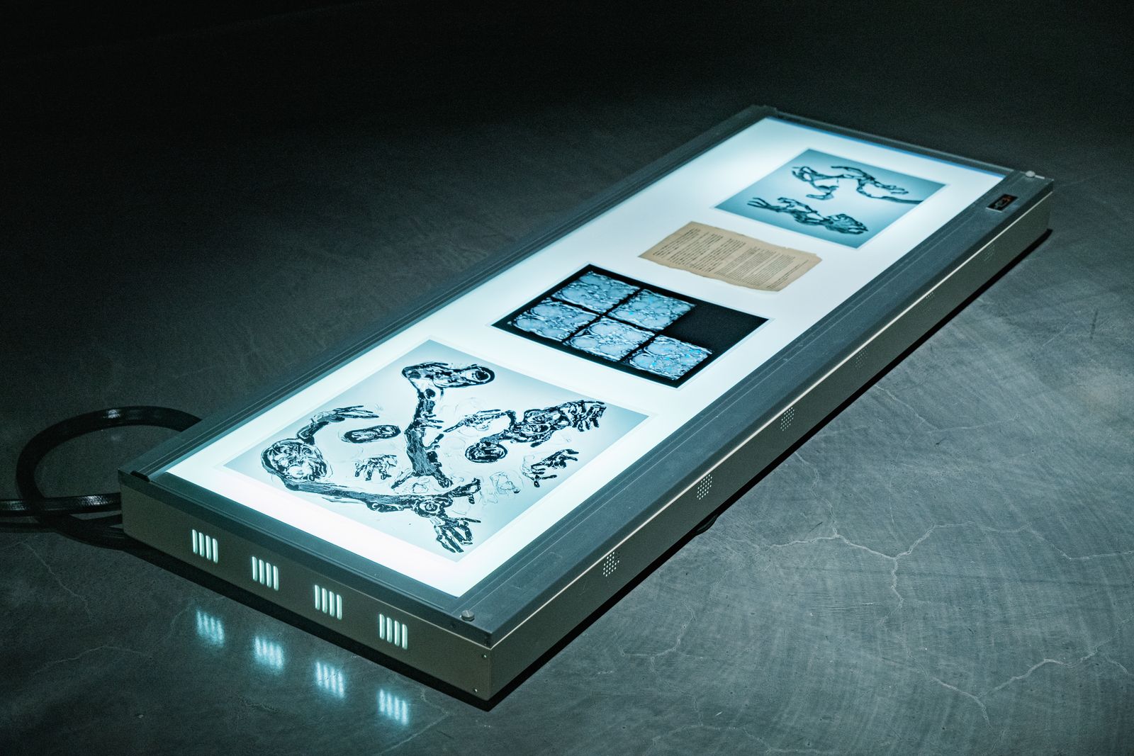 The Riddle of the Sphinx, Unriddling the Puzzles