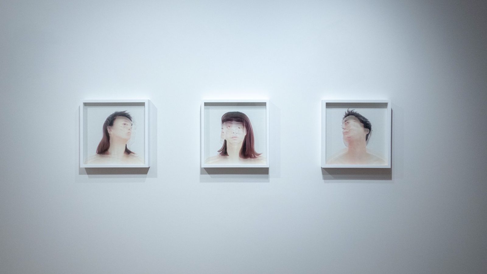 Three Studies Of Their Shadow