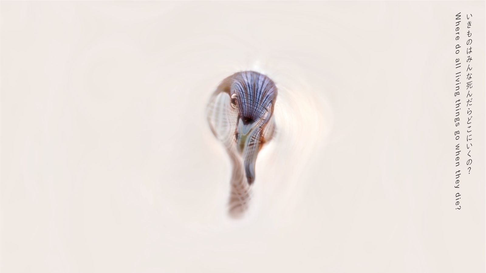 告白のハルシネーション