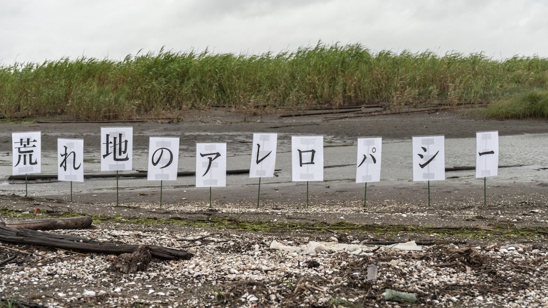 荒れ地のアレロパシー