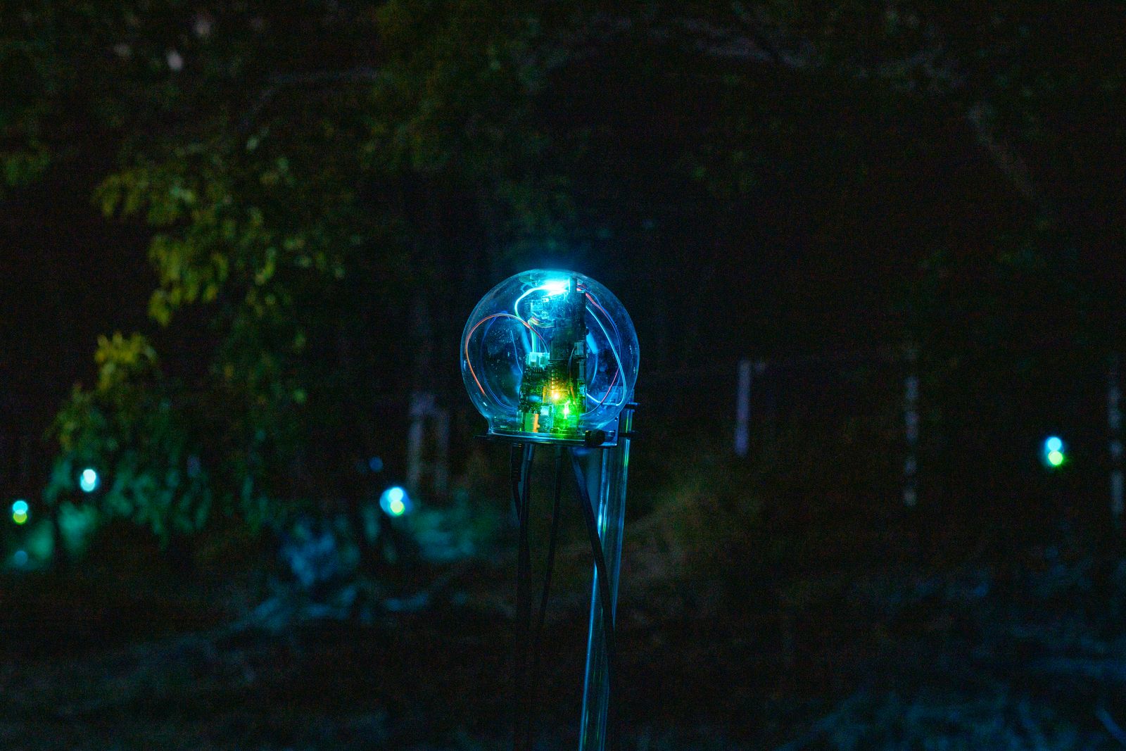 Botanical Intelligence — device with other units glowing in forest background