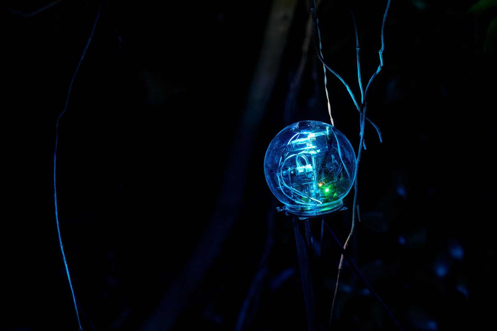 Botanical Intelligence — device close-up with branches