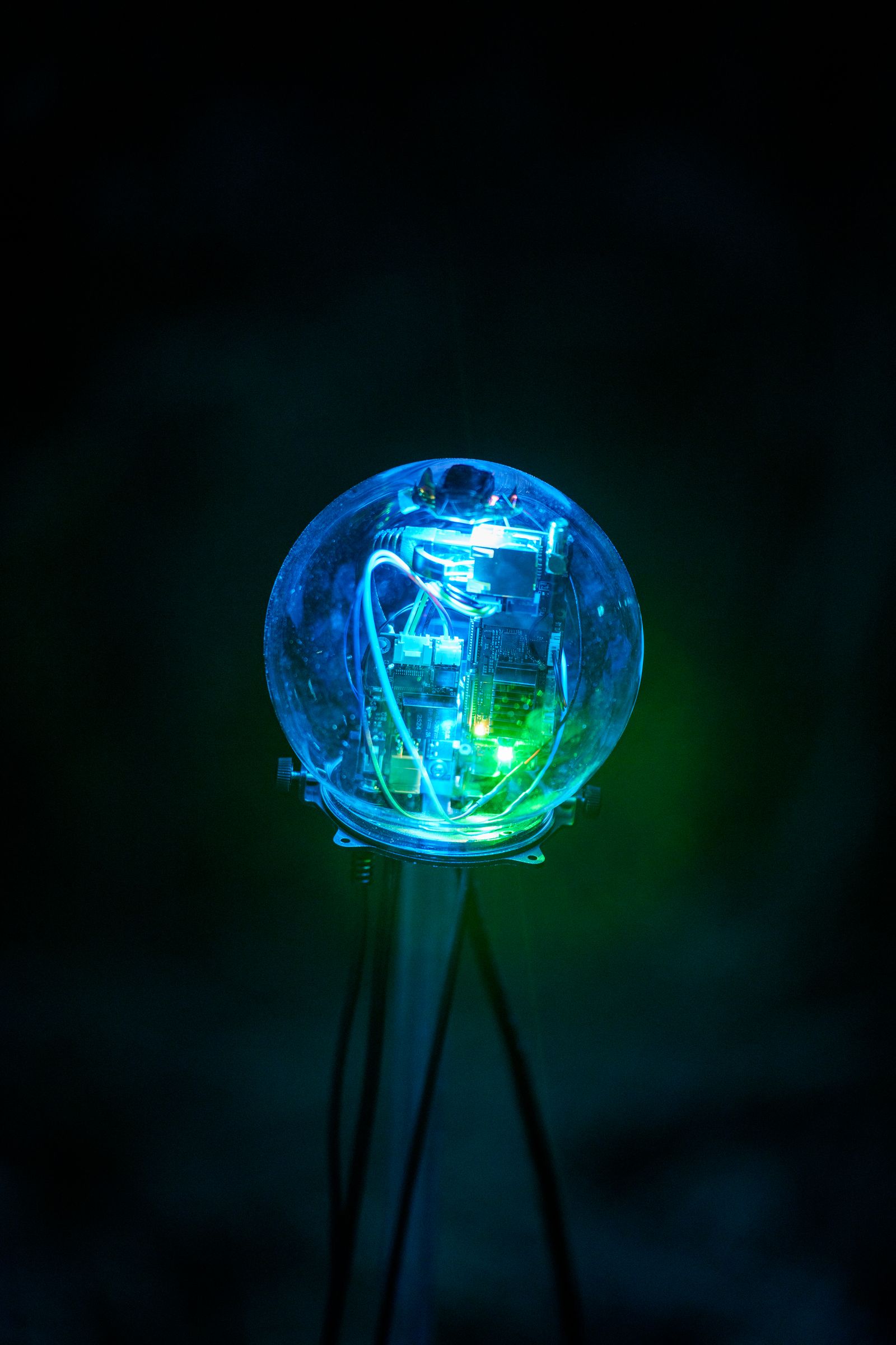 Botanical Intelligence — device circuit board close-up