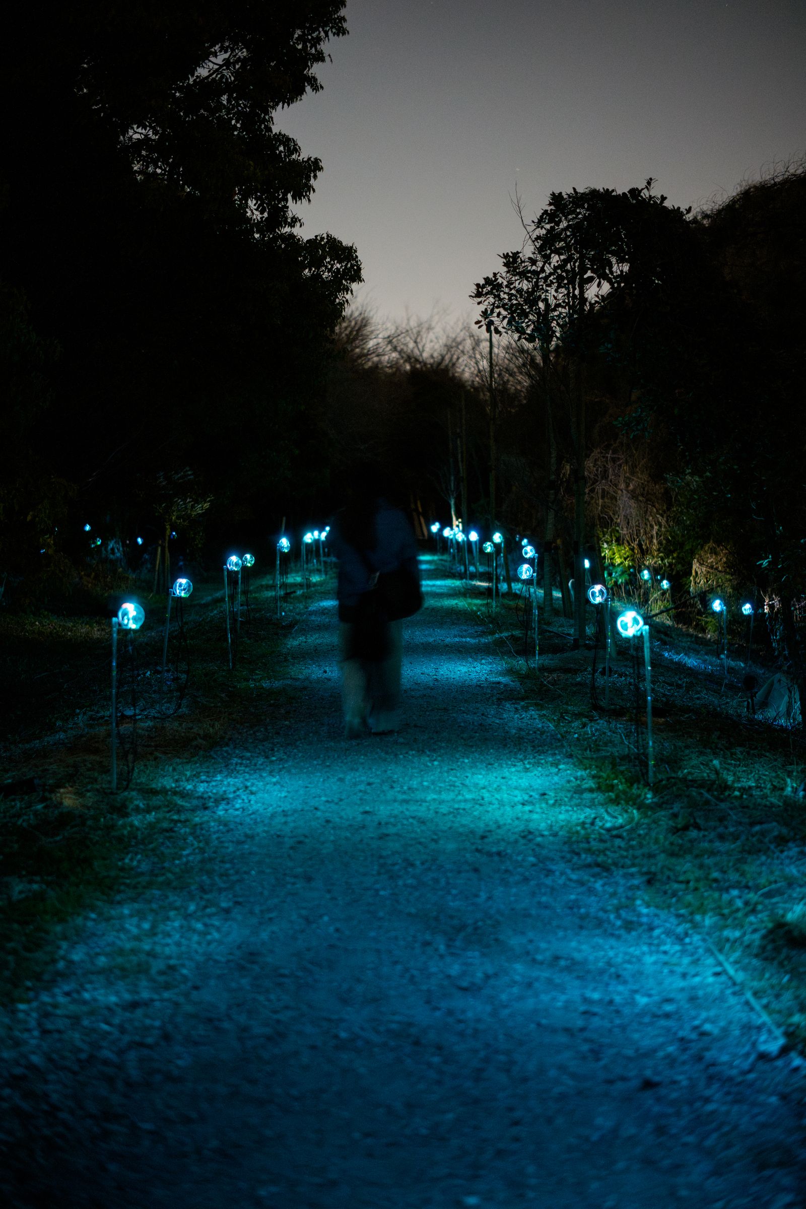 Botanical Intelligence — ghost figure walking among devices