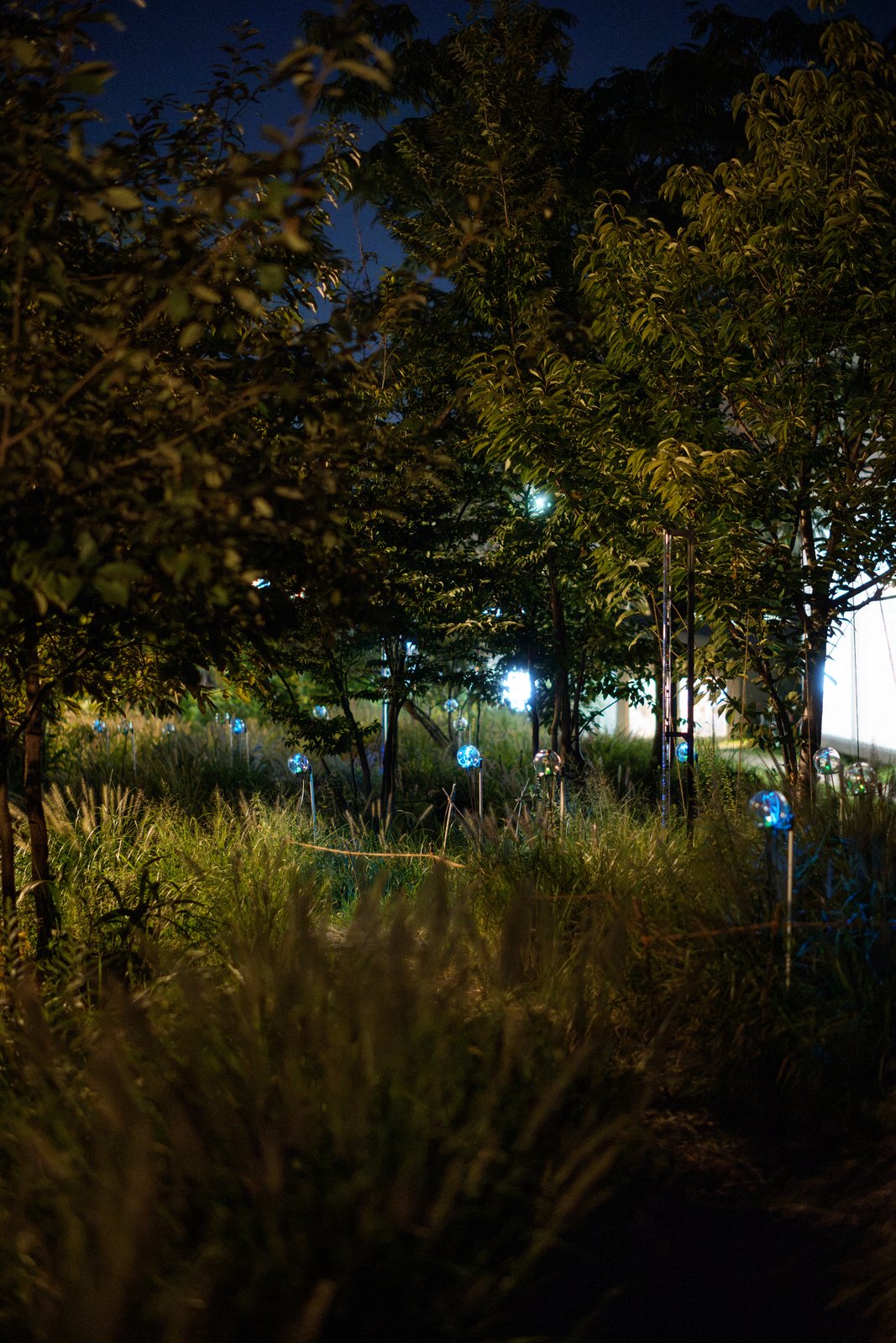 Botanical Intelligence: Moon Edition — devices along the garden path