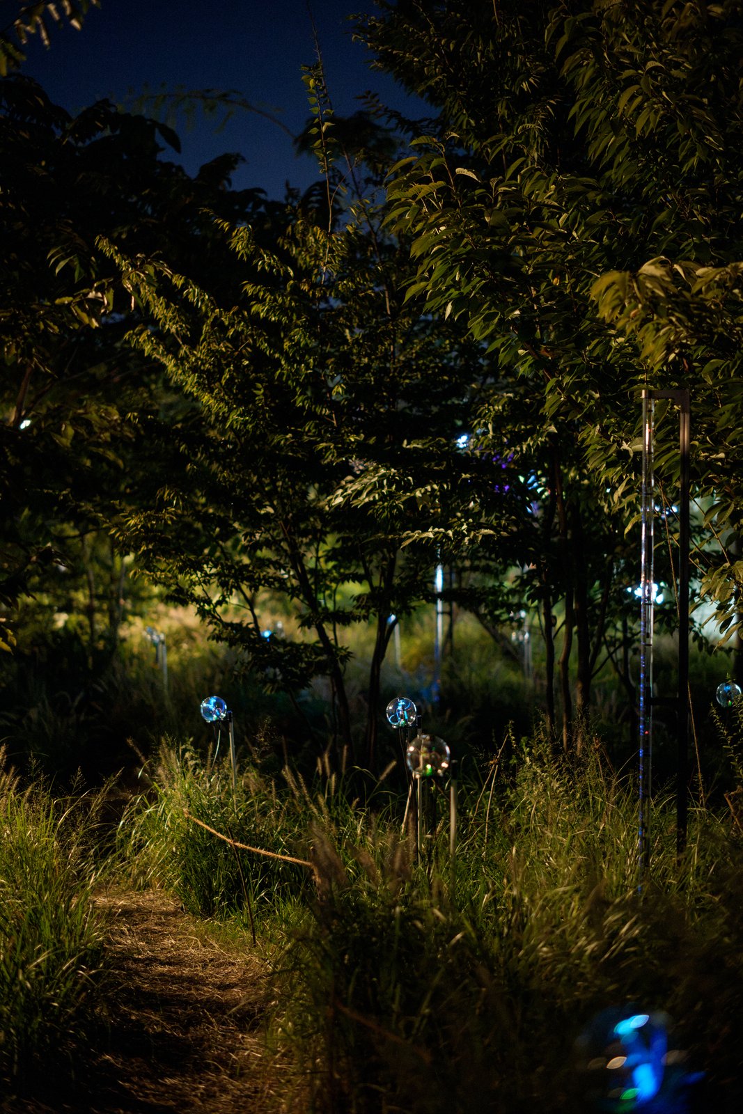 Botanical Intelligence: Moon Edition — path with devices and LED bar