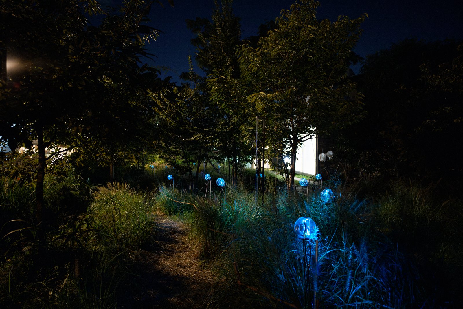 Botanical Intelligence: Moon Edition — device by the path with building lights behind