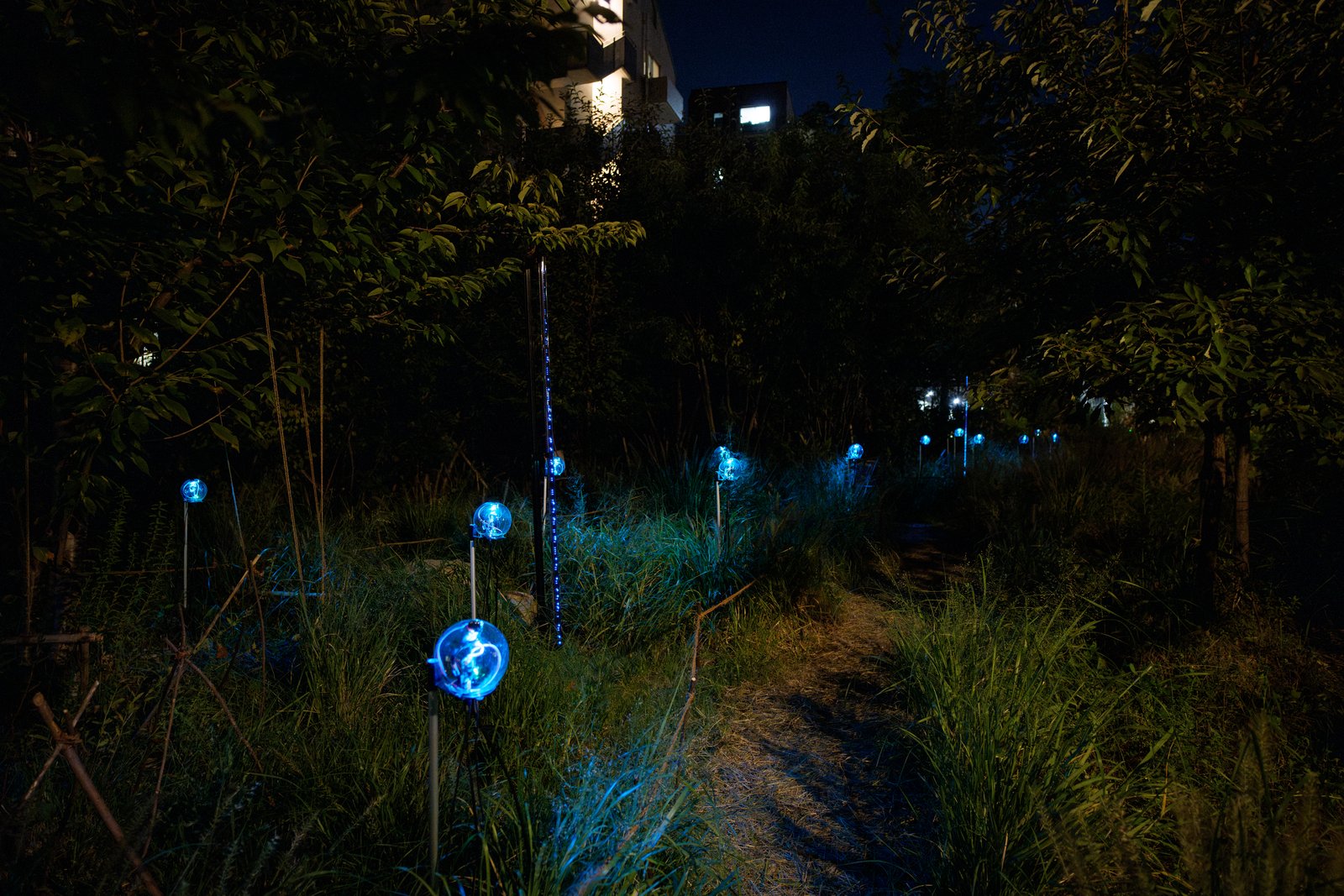 Botanical Intelligence: Moon Edition — devices glowing along a dark path