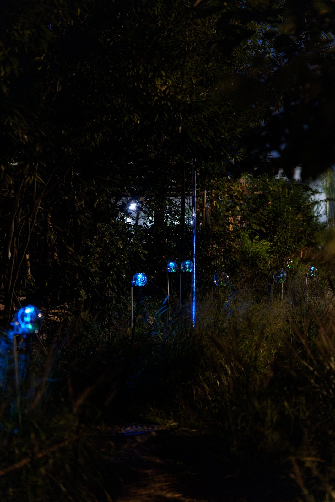 Botanical Intelligence: Moon Edition — devices and LED bar in the undergrowth