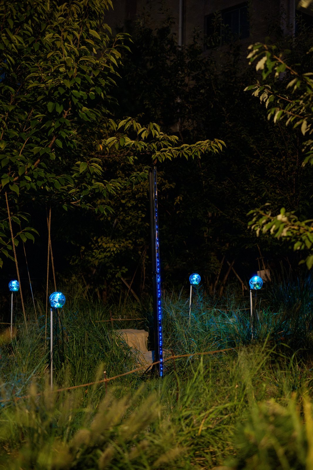Botanical Intelligence: Moon Edition — LED bar and devices among the plants