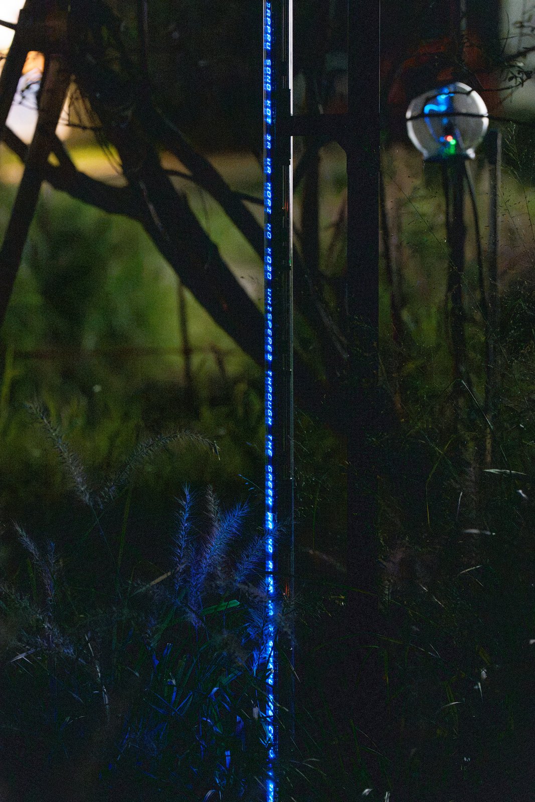 Botanical Intelligence: Moon Edition — LED bar seen through the structure
