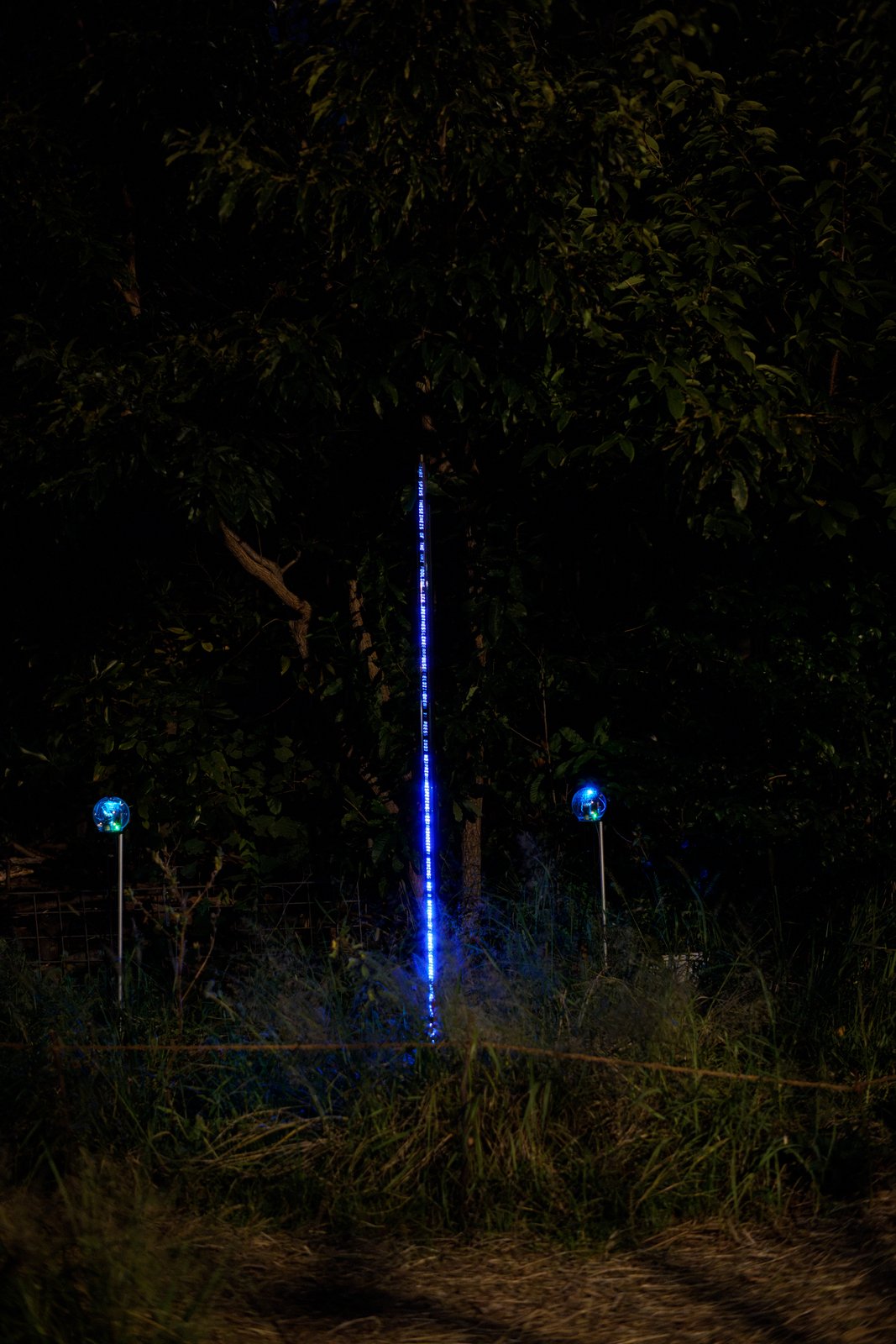 Botanical Intelligence: Moon Edition — LED bar close-up