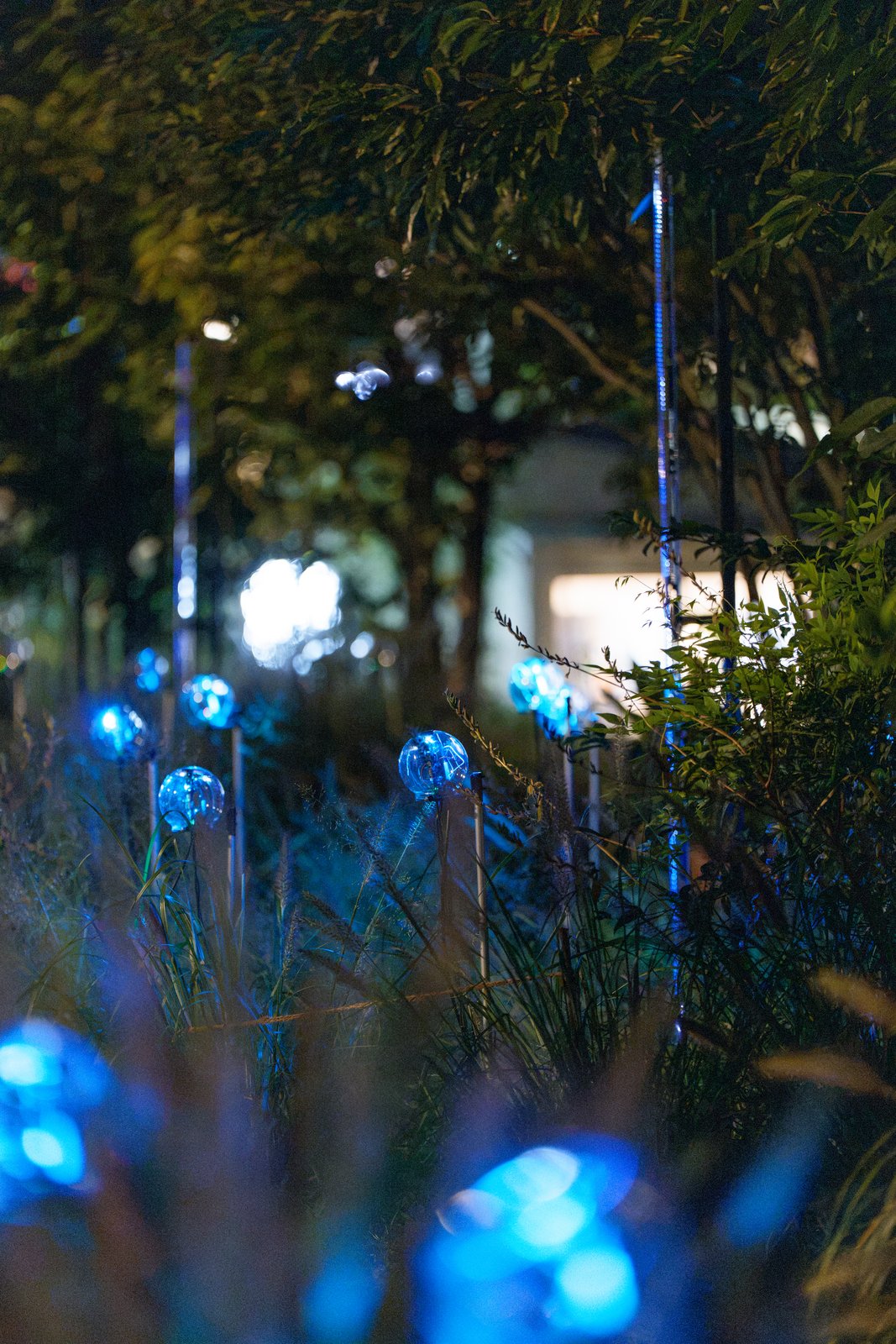 Botanical Intelligence: Moon Edition — devices close-up with blue bokeh
