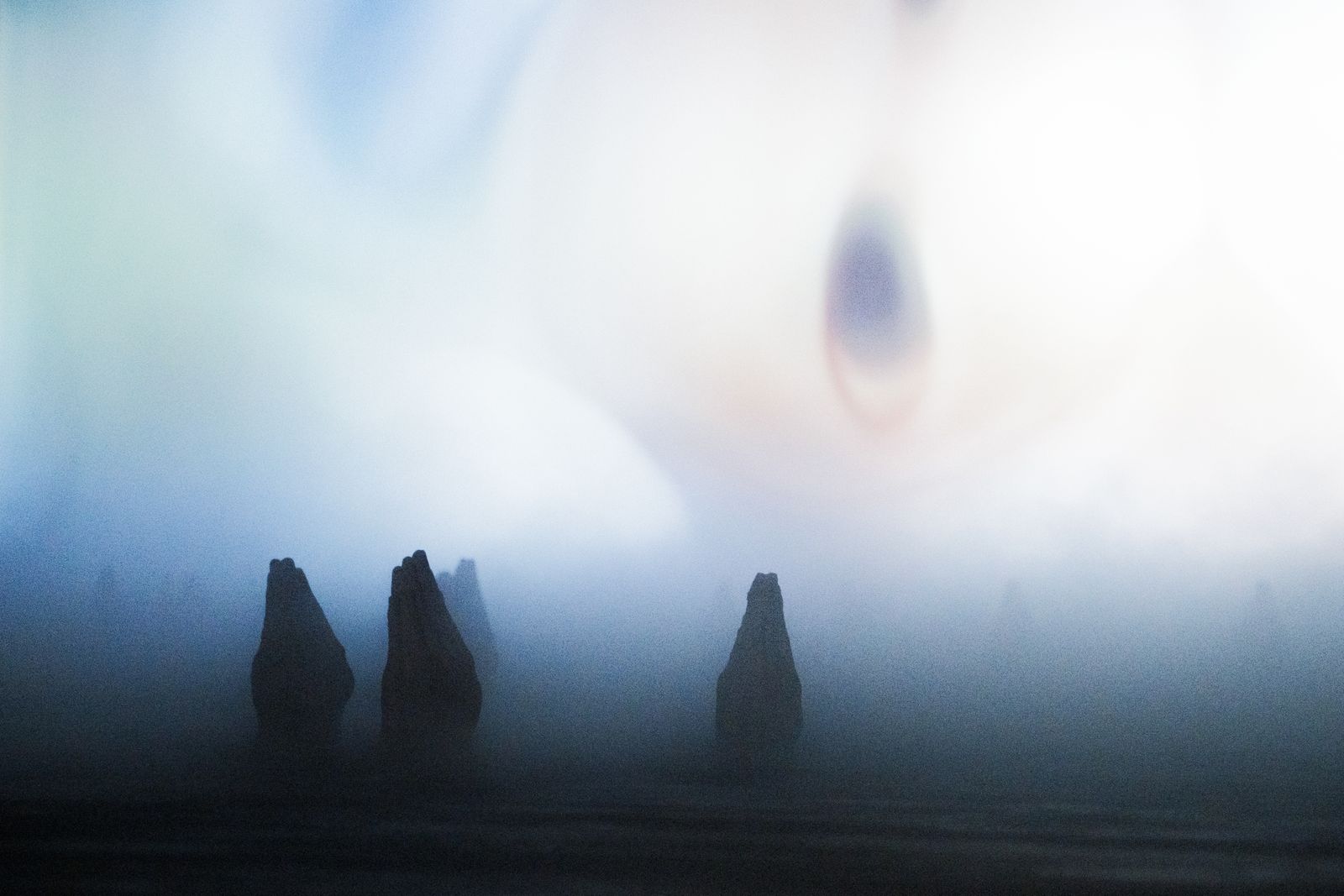 Oracle Womb — Organs, detail