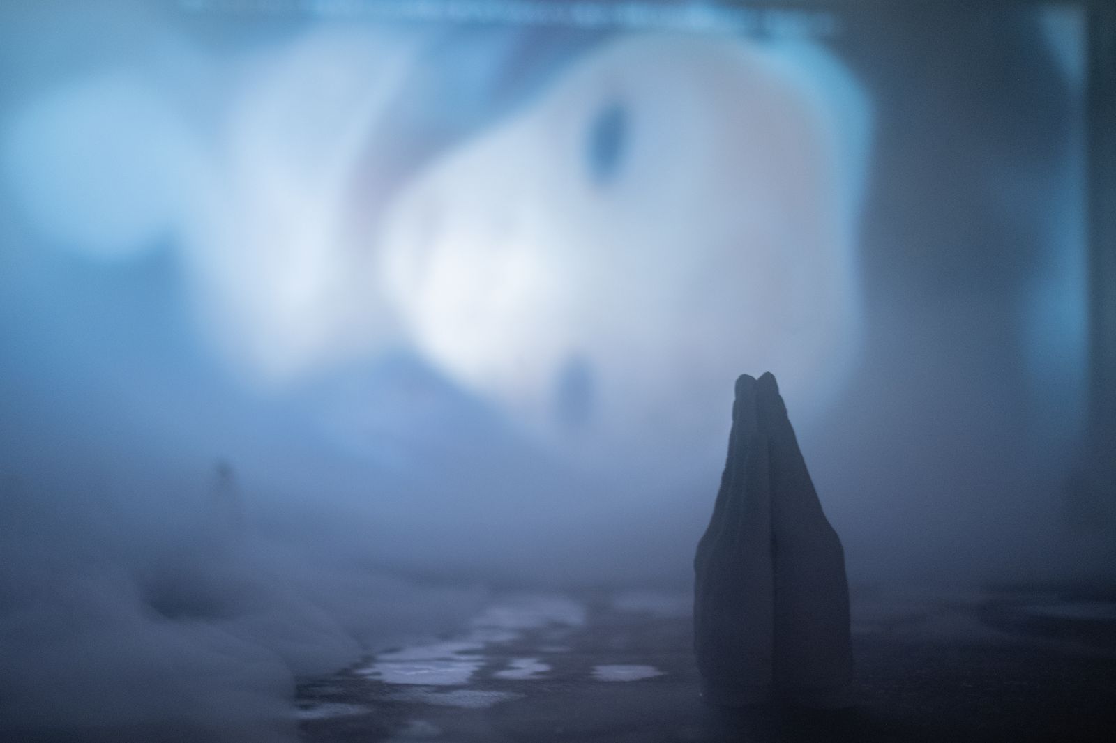 Oracle Womb — Organs, detail