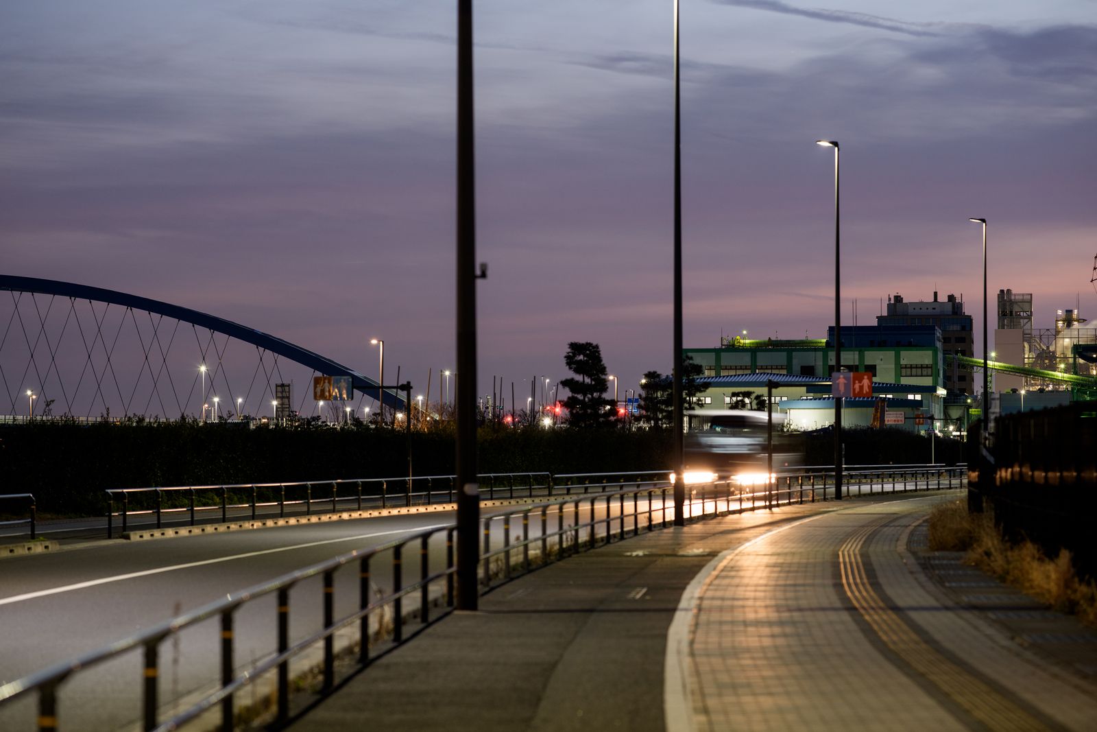 Parallel Forests — twilight approach to Uminomori Park