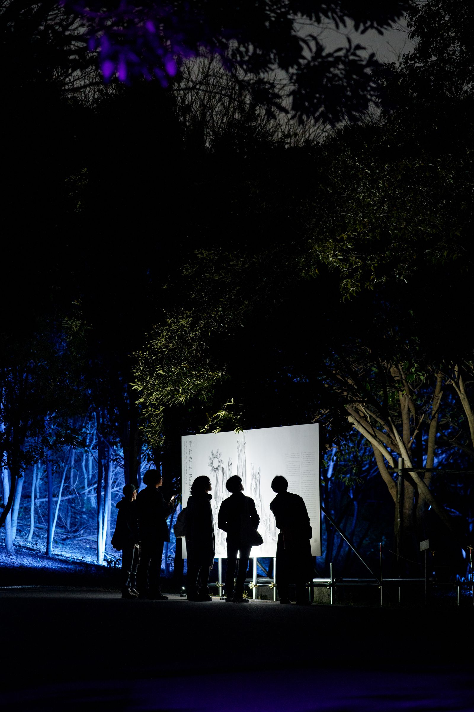 Parallel Forests — visitors silhouetted against light panel
