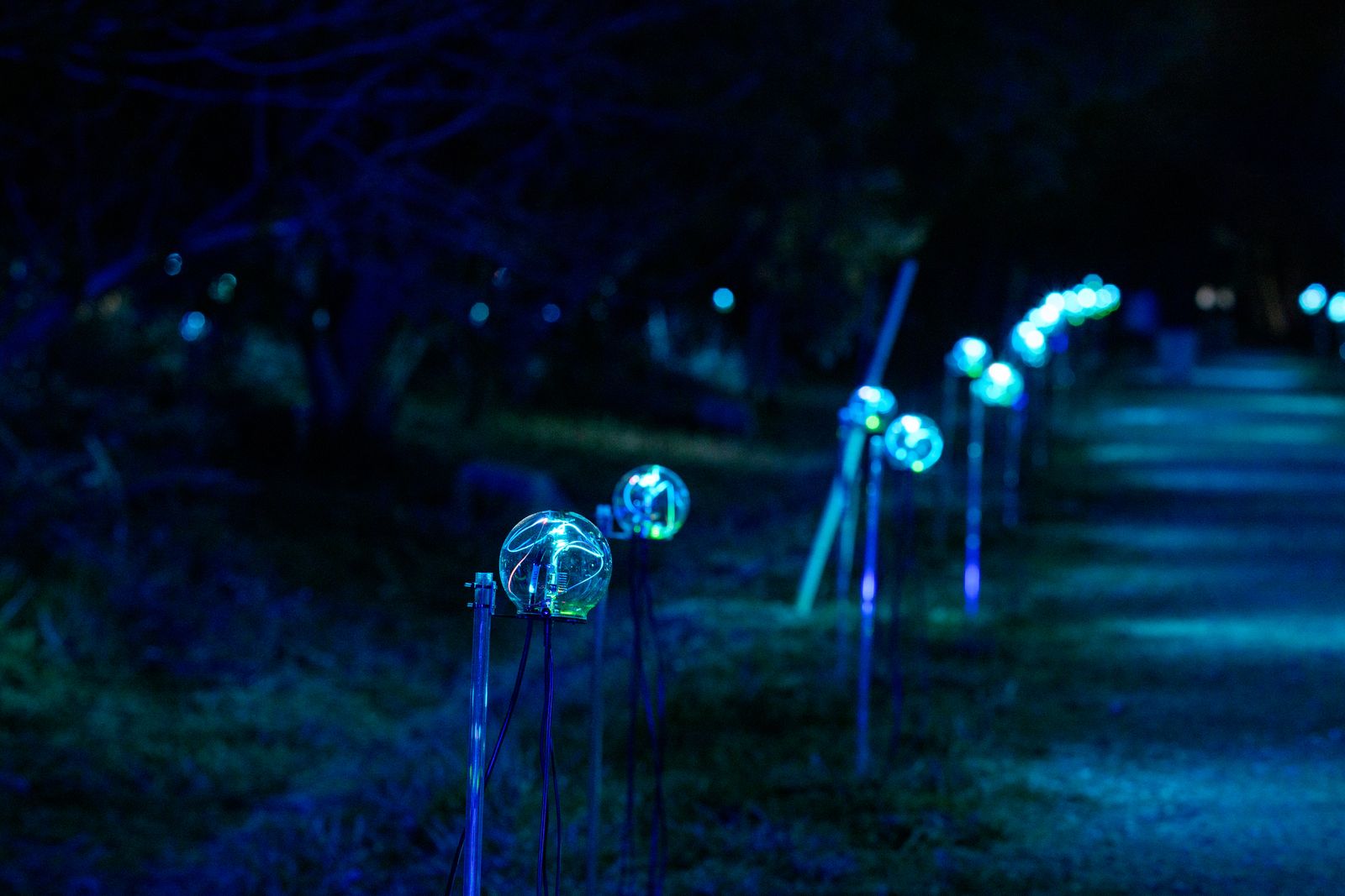 Parallel Forests — row of BI devices along path