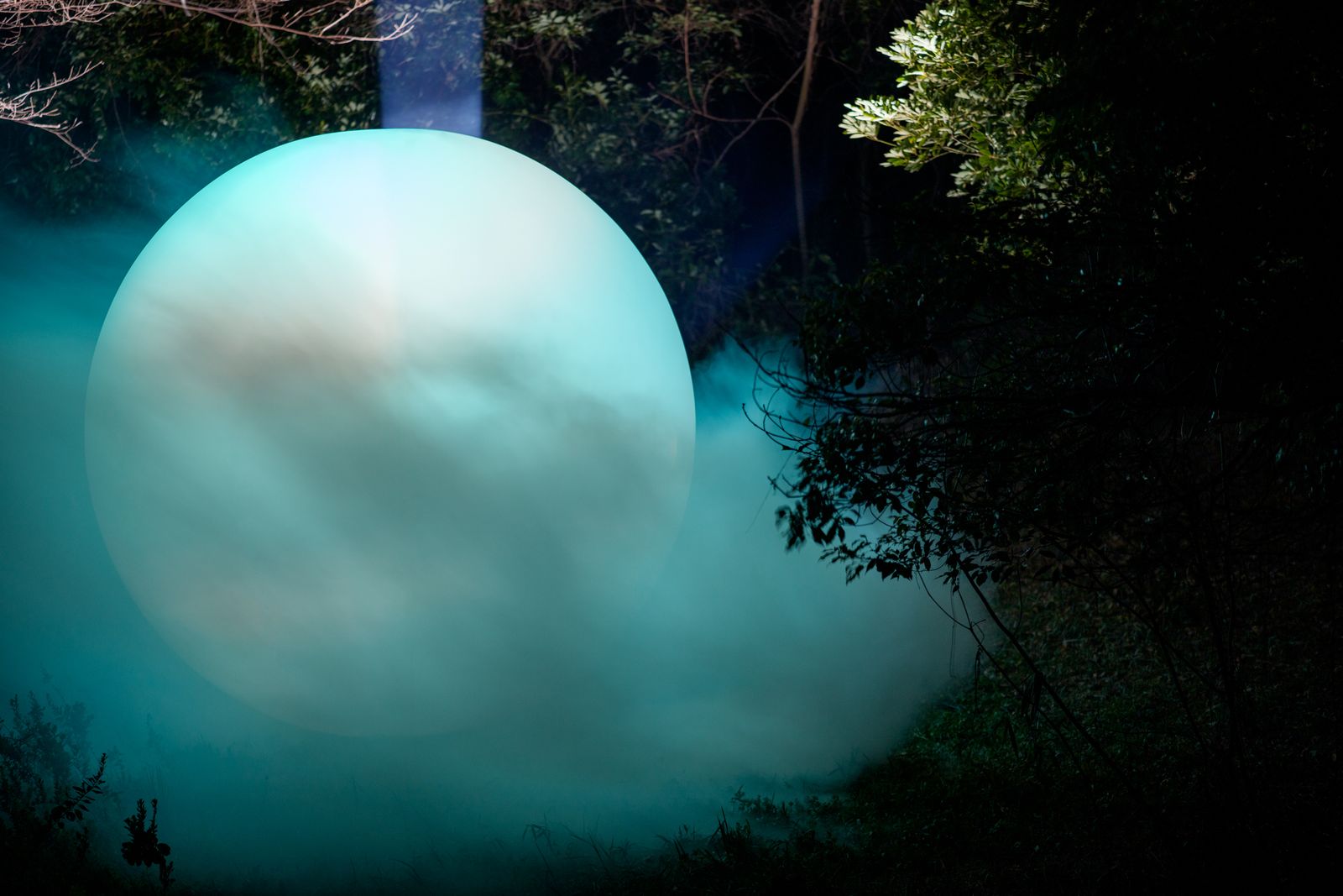 Parallel Forests — light sphere with fog and branches