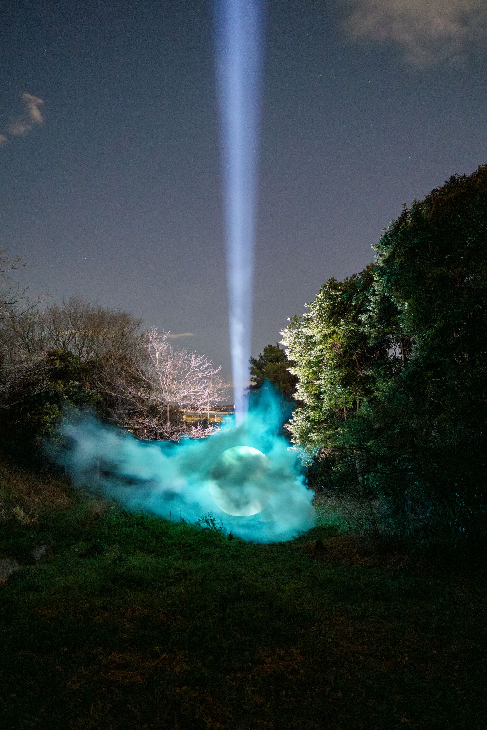 Parallel Forests — fog and beam piercing twilight sky