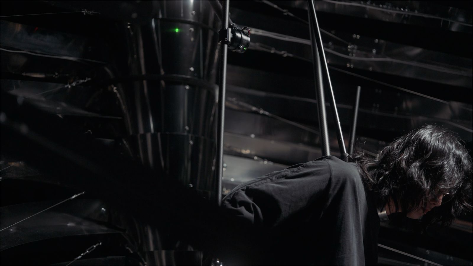 xoxo-skeleton — back view looking up