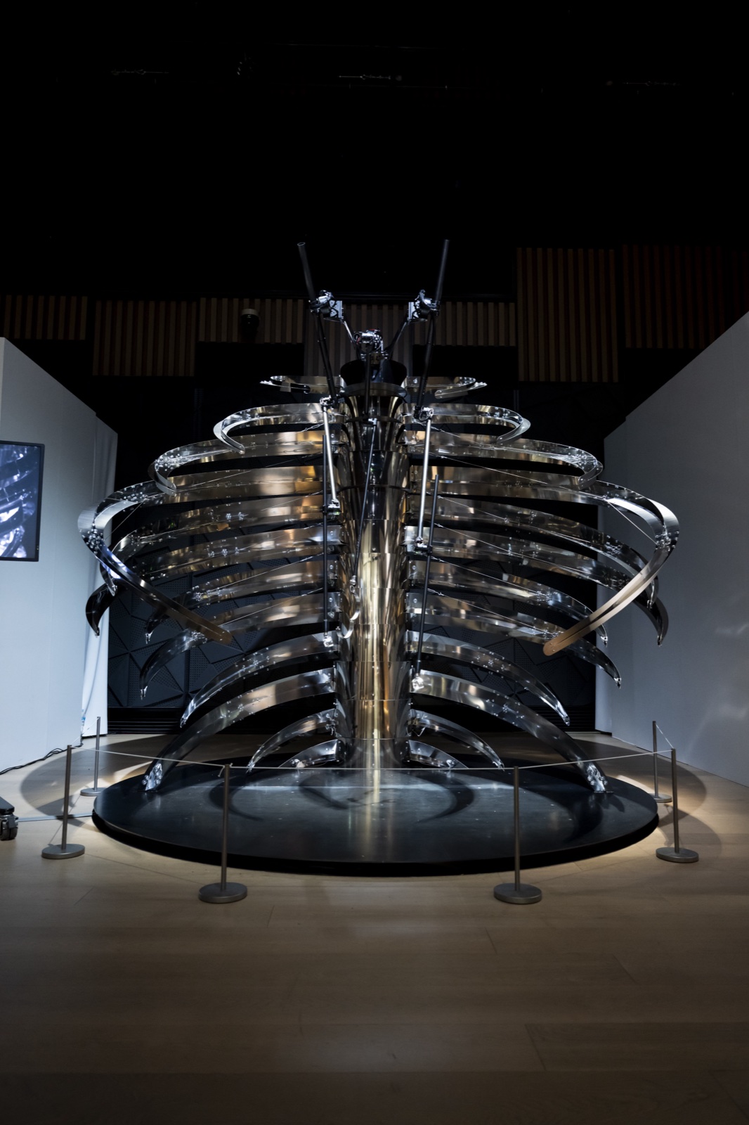 xoxo-skeleton at ENCOUNTERS